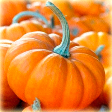 Pumpkin Enzyme Peel /(Pumkin Bioferment 1757 фото