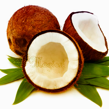 Олія кокоса 1119 фото