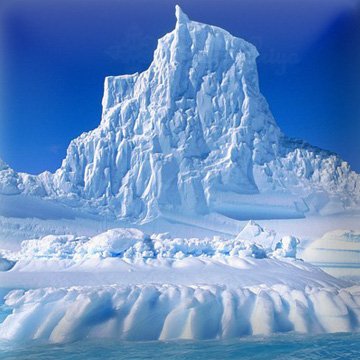 Antarcticine 893 фото