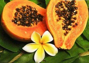 Modified Papaya Enzyme PF MPEPF201024 фото