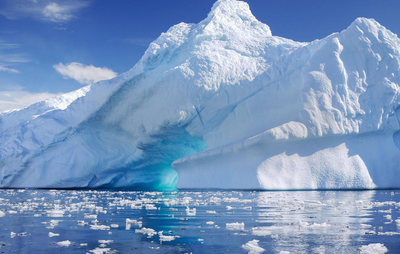 Antarctic-G 2059 фото