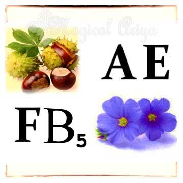 Комплекс витаминов A, E, B5 и F 1151 фото