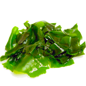 ACB Wakame Bioferment Advanced 1533 фото